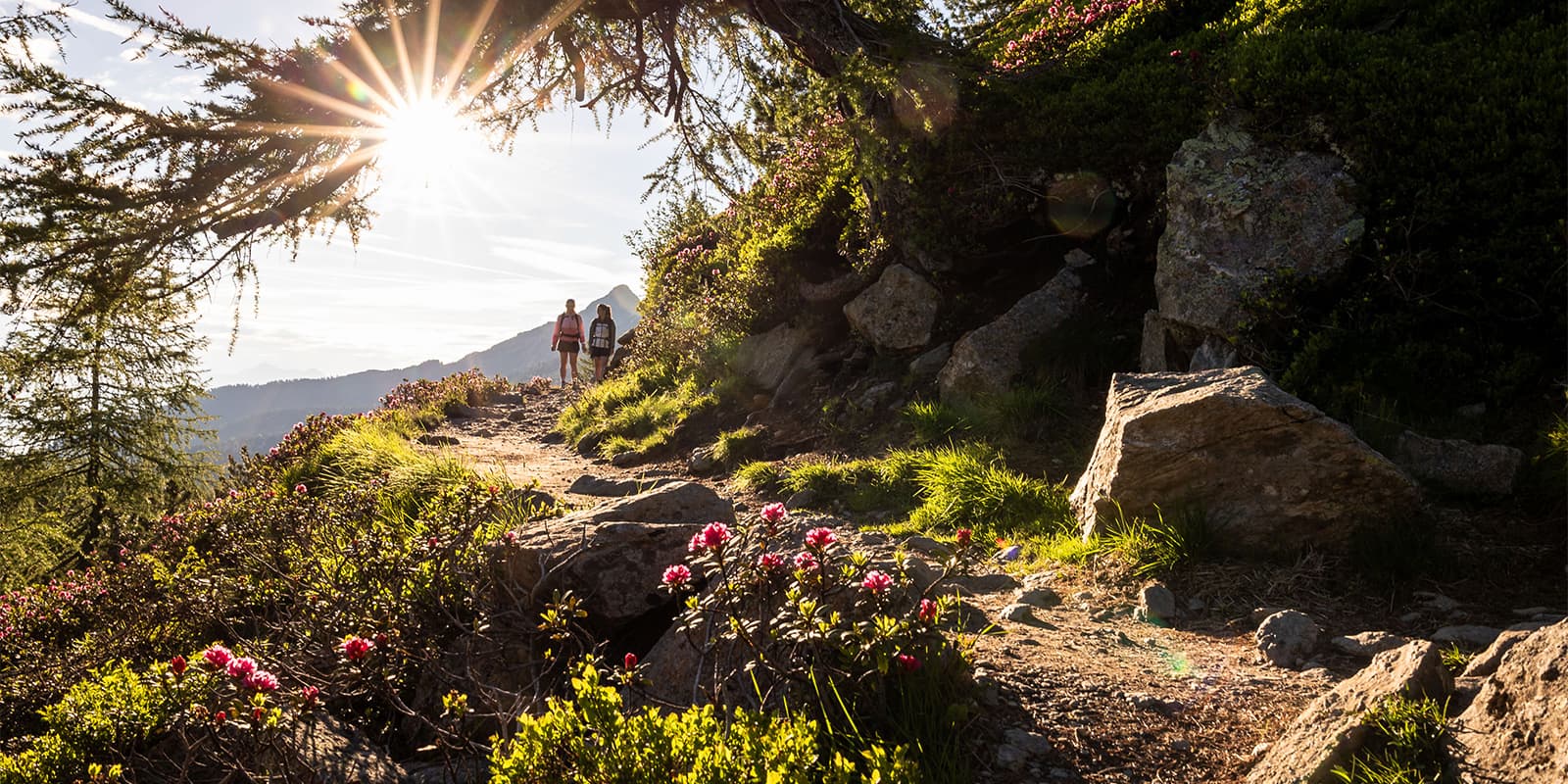 two women hiking on the Panoramaweg Pleisen Trail near the Patscherkofel