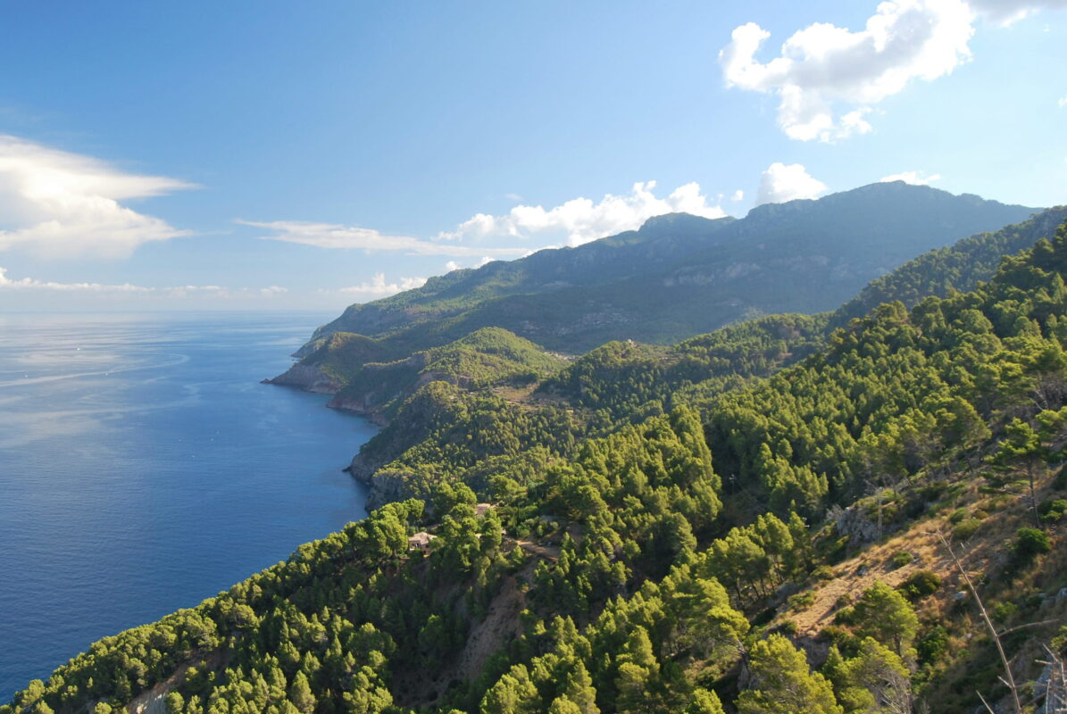 Panoramic view of lush green mountains near body of water