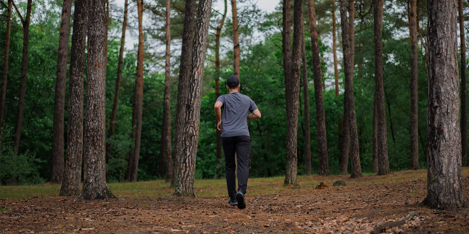 person hiking between trees in green forest