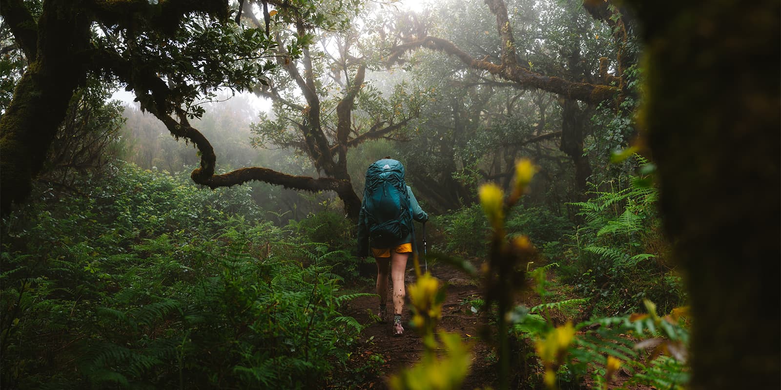 women hiking in foggy forest in Madeira wearing a Gregory backpack